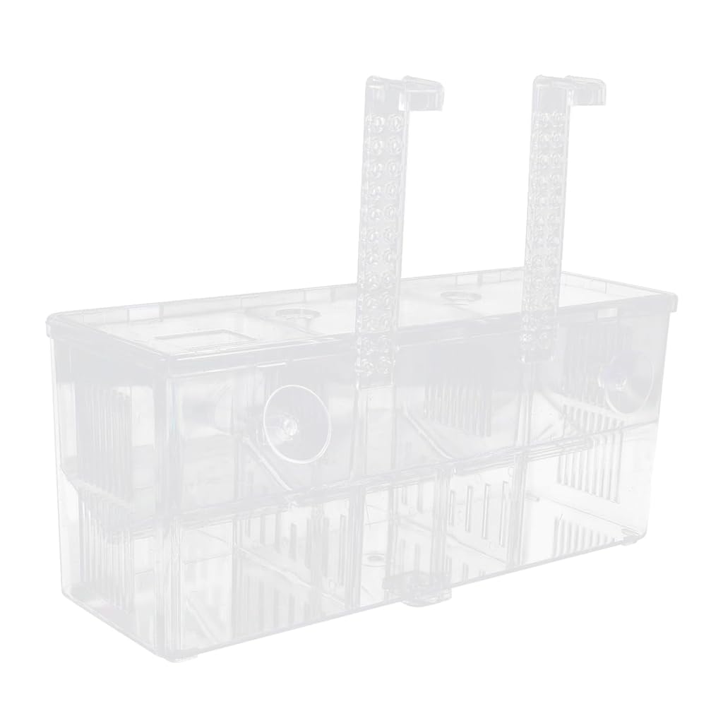 Qpets® Guppy Breeding Box Aquarium Isolation Qpets® Guppy Breeding Box Aquarium Isolation